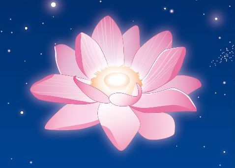 starlight-lotus
